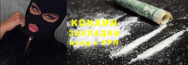 крисы Горняк