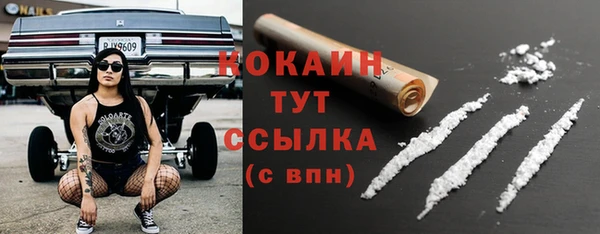 винт Горно-Алтайск