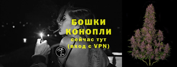 крисы Горняк