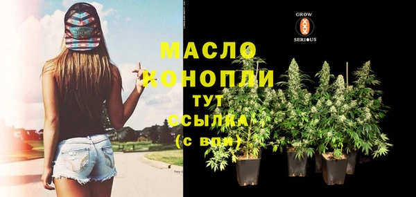 крисы Горняк