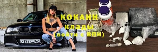 винт Горно-Алтайск