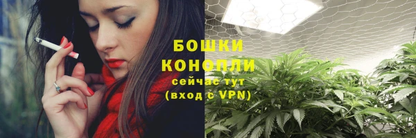 амф Горнозаводск