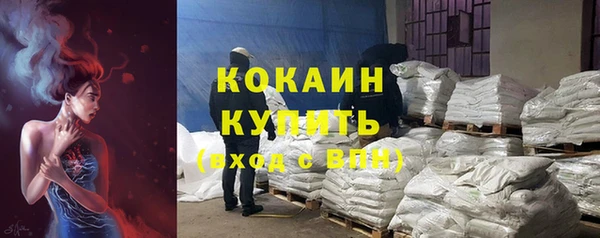 винт Горно-Алтайск